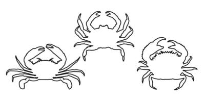Set of outline black crab icons on white background. Clean and detailed silhouettes representing marine life and seafood themes. Ideal for restaurant menus, graphic design vector