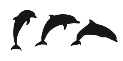 Set of black dolphin icons on white background. Elegant silhouettes symbolizing marine life and ocean themes. Ideal for wildlife illustrations, graphic design, and seafood related concepts vector