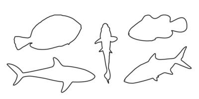 Set of black silhouette and outline icons featuring clownfish, sardine, goldfish, and surgeonfish on white background. Representing marine life and seafood concepts, perfect for design projects menus vector