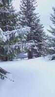 A camper stands near a tent in a snowy forest, surrounded by tall evergreen trees under a cloudy sky. This winter scene captures the tranquility of nature. Vertical footage video