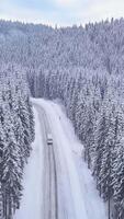 Aerial view of a mountain road in a winter forest. Beautiful winter landscape, vertical footage video