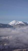 Snow-covered mountain peaks rise majestically above a blanket of clouds during early morning, showcasing stunning natural beauty and the tranquility of the wilderness. Vertical footage video