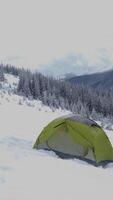 A vibrant green tent sits in a thick blanket of snow, nestled among tall evergreen trees. The winter landscape showcases a serene, frosty atmosphere. vertical footage video