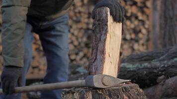 A person wearing gloves uses an axe to split a piece of firewood in a cozy outdoor environment. Stacks of logs create a warm, rustic backdrop under soft natural light. video