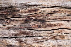 Rustic Wooden Texture Background with Natural Grain Patterns and Weathered Surface for Design and Decoration Projects photo