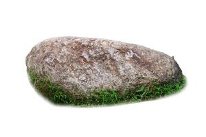 Large Natural Boulder with Grass Isolated on White Background for Landscaping and Nature Projects photo