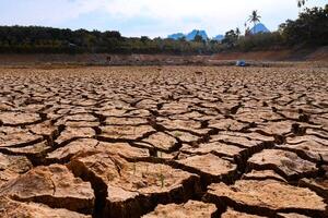 Parched Earth and Cracked Soil in Drought-Affected Landscape Under Clear Blue Sky with Sparse Vegetation and Distant Trees photo