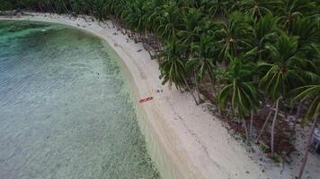 Coconut beach in palm trees in the Philippines video