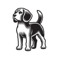 Beagle Dog Relex standing Design Black and White vector