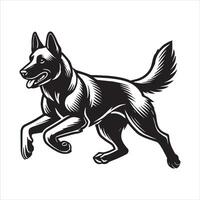Belgian Malinois dog running and chasing coursing lure on field vector