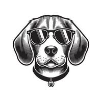 Beagle Dog with sunglasses on dark background vector