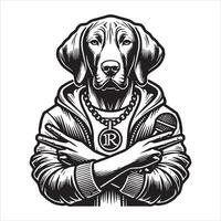 Beautiful brown dog in a studio setting vector