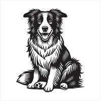 Elegant border collie on white backdrop vector
