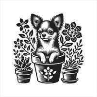 Cute Chihuahua Portrait Isolated on a White Background vector