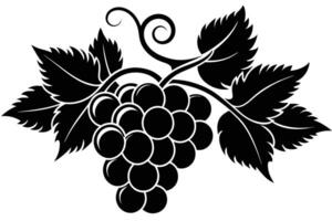 Grape branches with leaves on white background vector