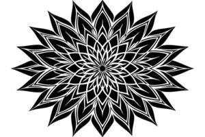 Mandala coloring page with nature design vector