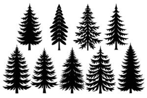 Set silhouette of different pine trees vector