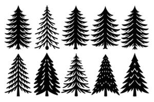 Set silhouette of different pine trees design vector
