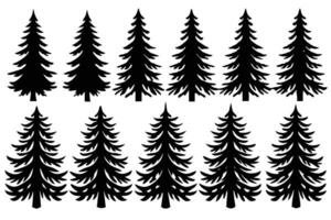 Silhouette of different pine trees vector