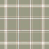 Smooth tartan plaid check, duvet seamless background textile. Damask texture pattern fabric in pastel and grey colors. vector