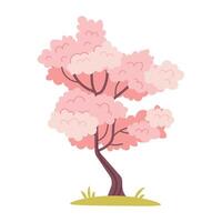 Pink blooming tree. Japanese cherry or sakura tree on white background. botanical element for spring, Hanami vector