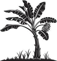 Silhouette image of a banana tree, fill black, silhouette vector
