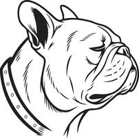 illustration of a bulldog's head vector