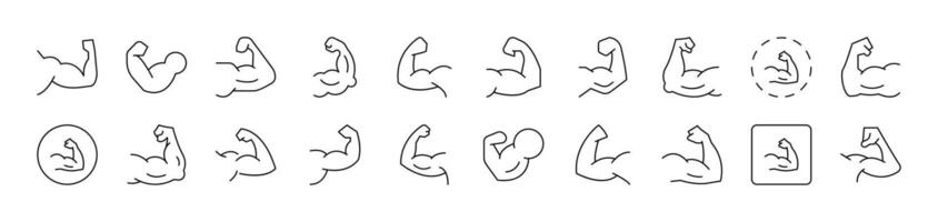 Muscles Pack of Thin Icons. Editable Stroke. Suitable for Web Sites, Books, Cards, Apps vector