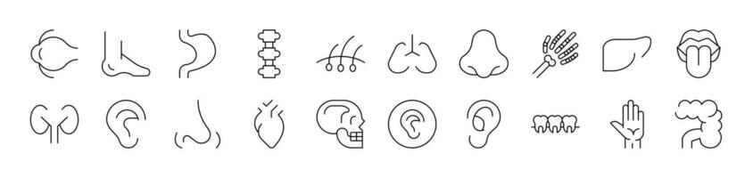 Internal Organs Thin Icons Collection. Editable Stroke. Suitable for Web Sites, Books, Cards, Apps vector
