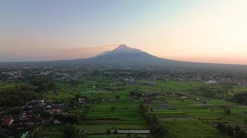 Morning atmosphere in the rice fields with the majestic backdrop of Mount Merapi which is clear from a distance. Aerial footage of beautiful rural area at sunrise and clear cloudy sky video