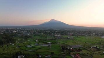 Morning atmosphere in the rice fields with the majestic backdrop of Mount Merapi which is clear from a distance. Aerial footage of beautiful rural area at sunrise and clear cloudy sky video