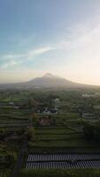4k portrait of an active volcano in detail with a green forest in front. Portrait footage from an aerial drone shows a panorama of Mount Merapi from a distance with beautiful views in the morning video