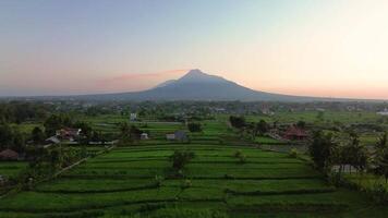 Morning atmosphere in the rice fields with the majestic backdrop of Mount Merapi which is clear from a distance. Aerial footage of beautiful rural area at sunrise and clear cloudy sky video