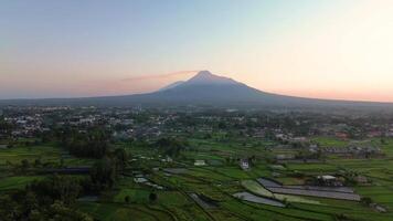 Morning atmosphere in the rice fields with the majestic backdrop of Mount Merapi which is clear from a distance. Aerial footage of beautiful rural area at sunrise and clear cloudy sky video
