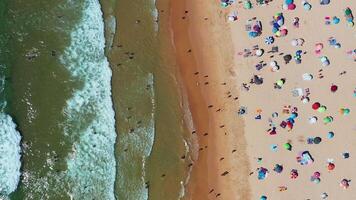 Relaxing Day at the Beach With Sunbathers and Colorful Umbrellas Along the Coastline video