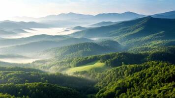 Aerial View of Misty Green Mountains in Tranquil Natural Background video