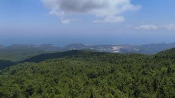 Drone Gliding Over Forested Mountains with Sea and Clouds on Horizon video