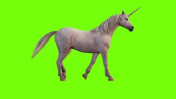 Unicorn Walk Animation video