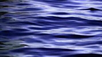 Light Reflections Creating Mesmerizing Water Patterns on Walls video