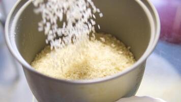 Pouring Rice Grain to Rice Cooker Pot, with Measurement Cup in the Kitchen. With an open Rice Grain Container in the background. video