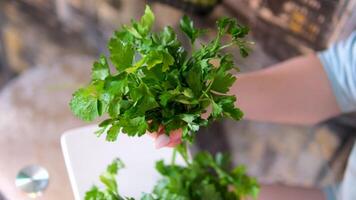 Studio portrait of a beautiful happy smiling young woman with a bouquet of fresh greenery - parsley video