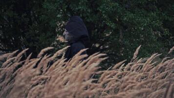 Side view of dark figure on field. Ghost in black costume with hood walking on green trees background. Scary face of witch. Halloween time. video