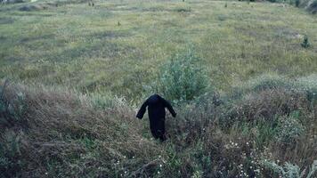 Top view of a dark spooky figure in grass. Ghost in black mantle with hood standing alone in the field. Halloween time. video