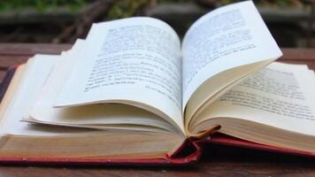 un abierto libro con un brisa torneado sus paginas despacio en un al aire libre ajuste video