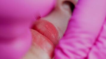 Cosmetologist applying permanent make up on lips, cropped photo. Beauty concept. of the process. video