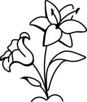 Lilies flowers icon in drawing style vector