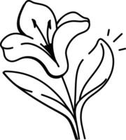 A sketchy icon of canna flower vector