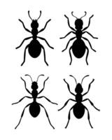 Minimalist Black Grasshopper Silhouette on White Background vector
