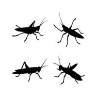 Black Grasshopper Silhouette Clean and Simple Illustration vector
