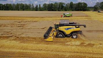 Grain harvesting combine in a sunny day. Yellow field with grain. Agricultural technique works in field. video